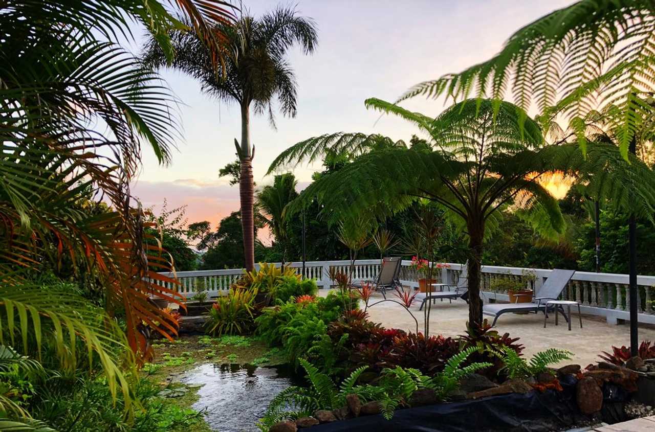 Bed & Breakfast in El Yunque Rainforest of Puerto Rico