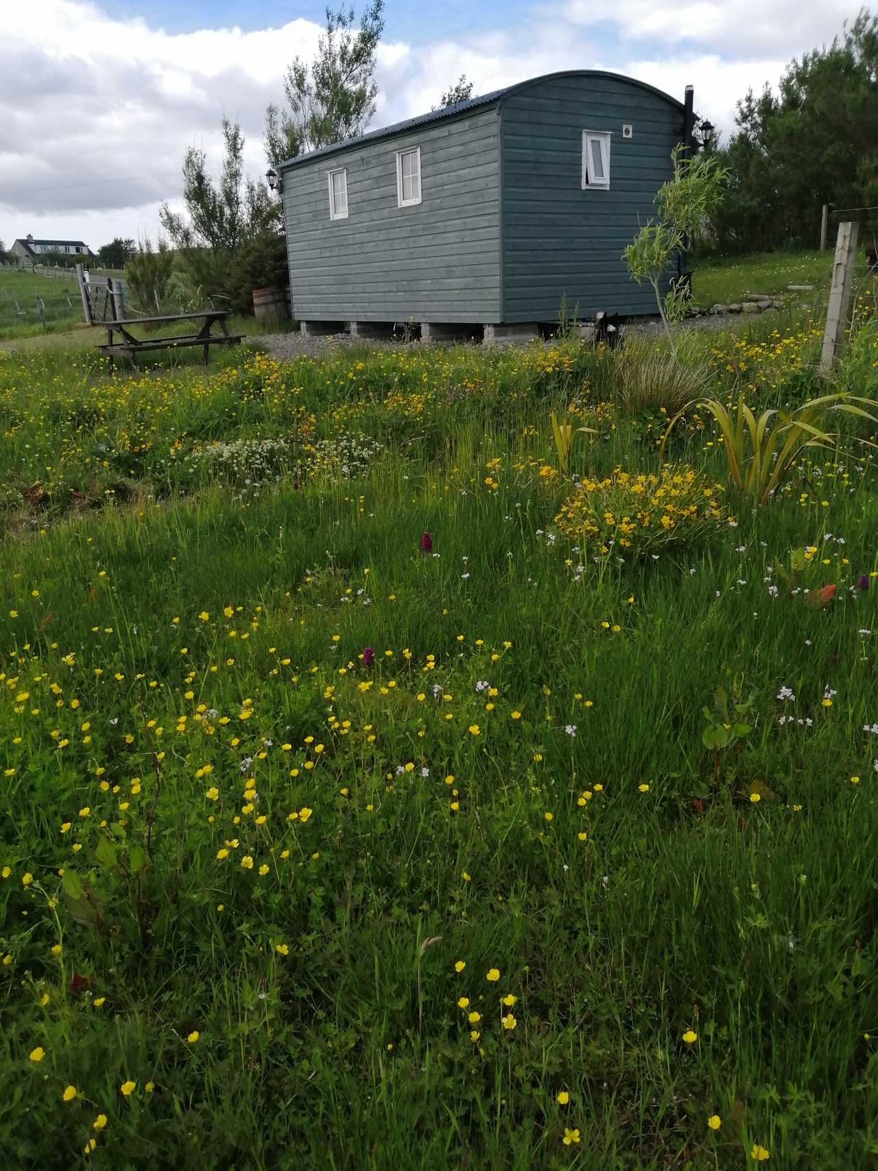 IsleBebytheSea - a private rural retreat on the shore in the Scottish Hebrides