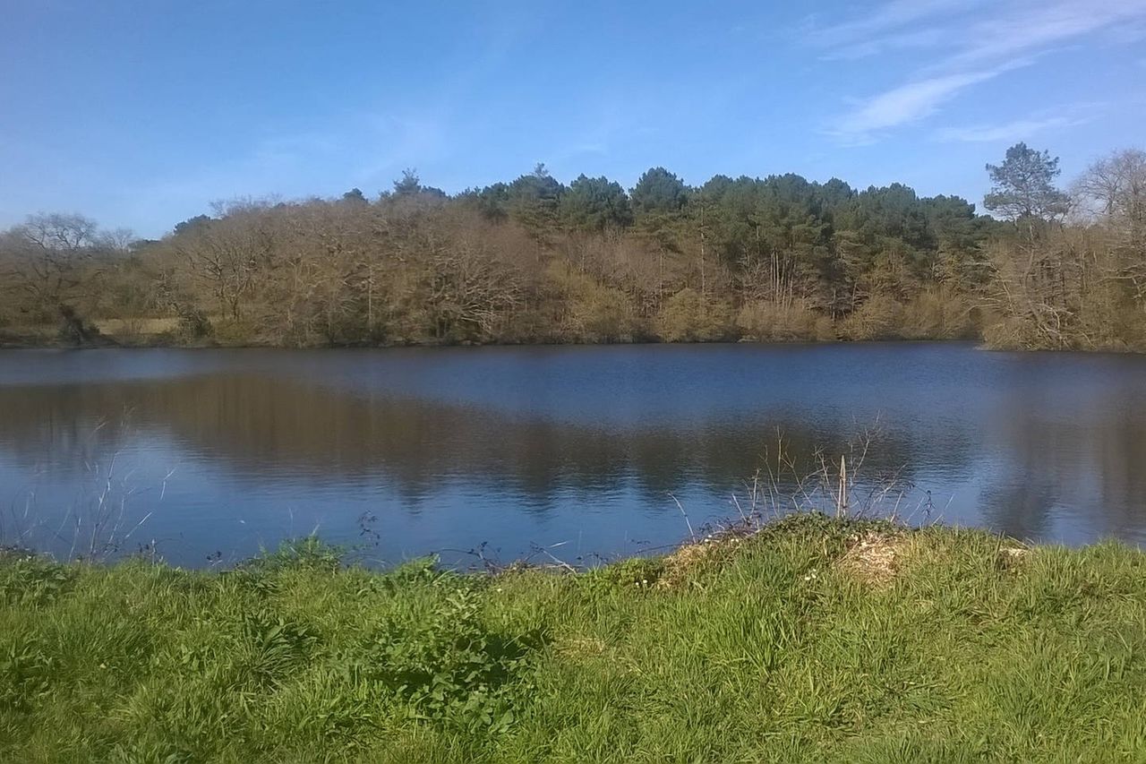 Private room in a very quiet area close to Vannes and beaches.