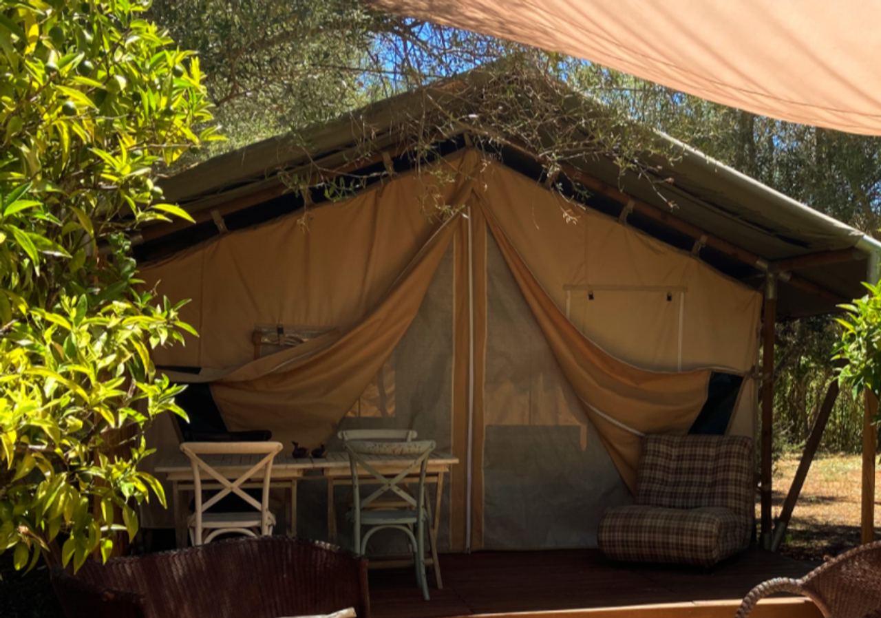 Orange Blossom @ Naturally Cool Glamping 