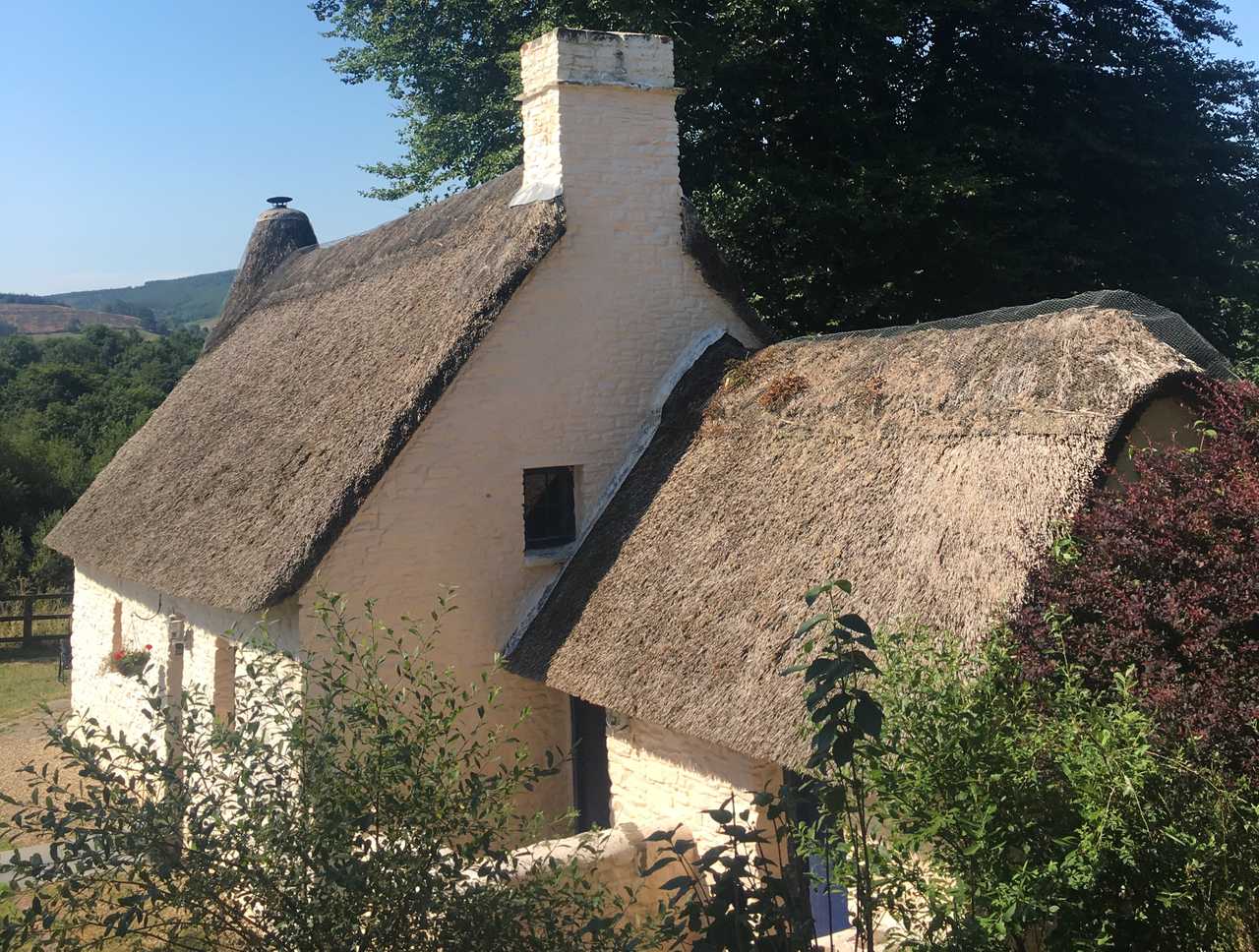 Magical 18th thatched cottage with stunning views, amazing vegan meals & hot tub