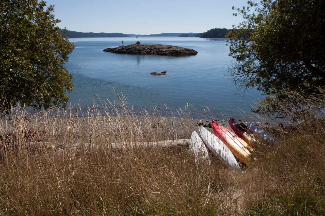 Waterfront Cottage on a organic farm and animal sanctuary.
