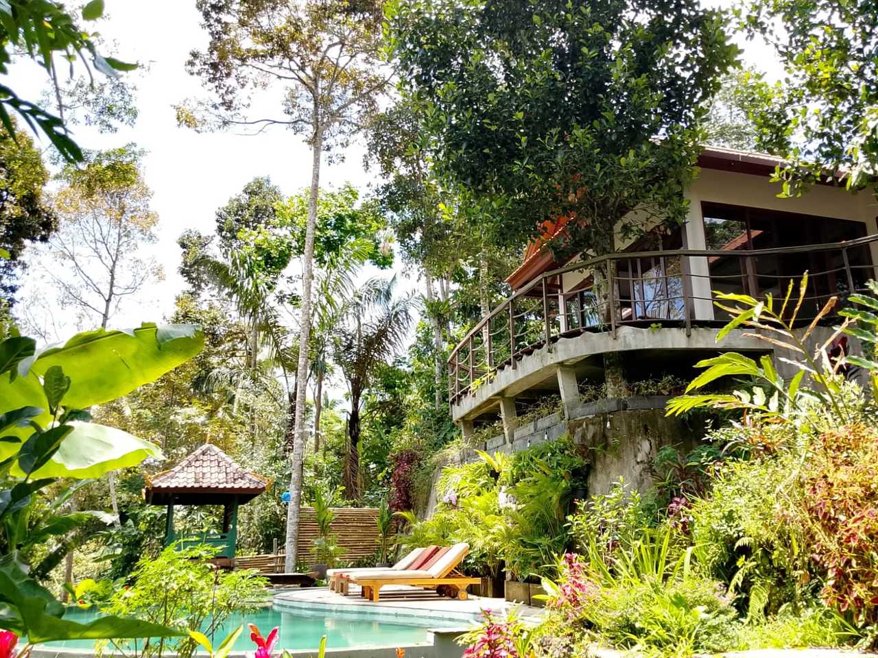Harmony Hill - Fully vegan nature retreat w private jungle pool & valley views
