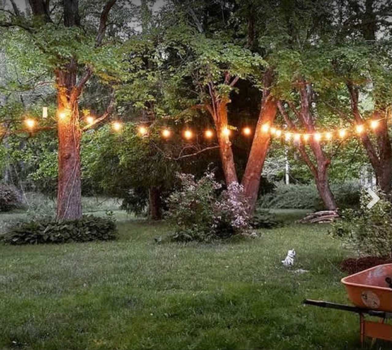 Camping on working animal sanctuary with nearly 50 adorable and friendly animals
