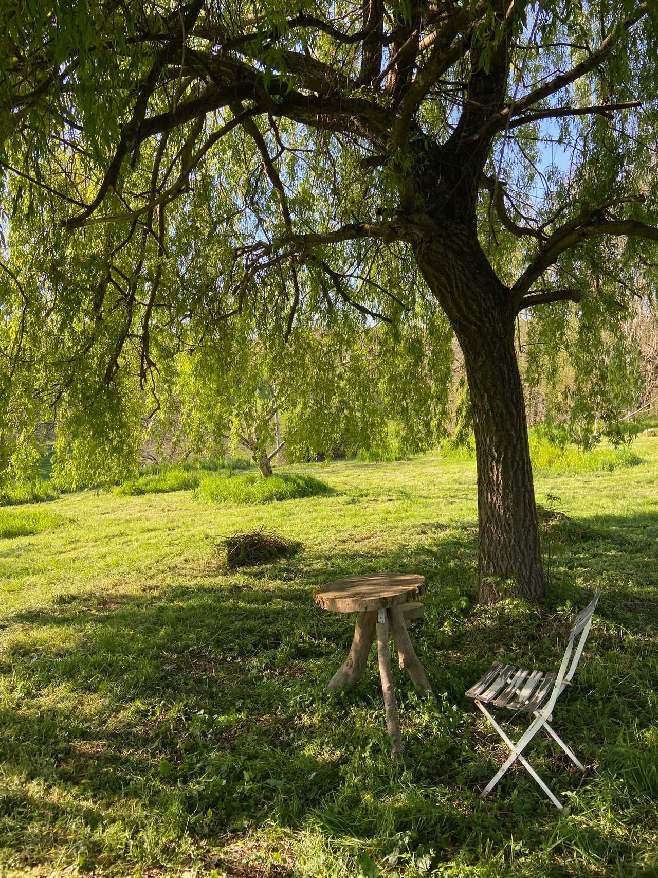 Vegan B&B in the Charente Limousine, rural France - Bedroom 1, GF