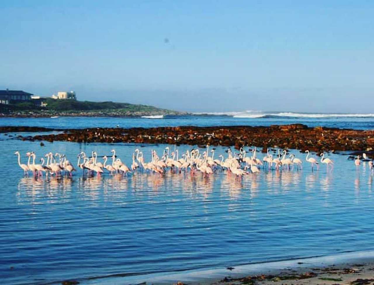 Magical, peaceful and good for the soul, Kommetjie