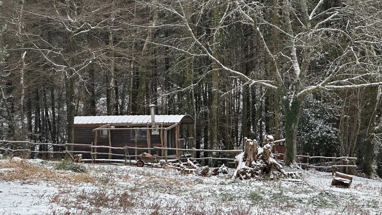 Beautiful gypsy wagon in nature