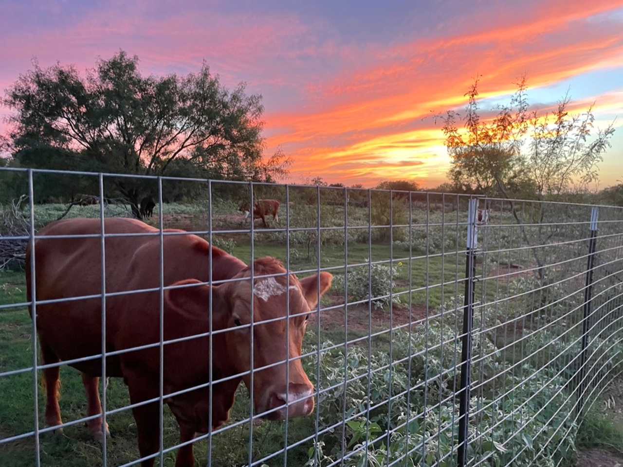 Barn Bunkhouse with Upper Deck & Sunset Views of the Sanctuary