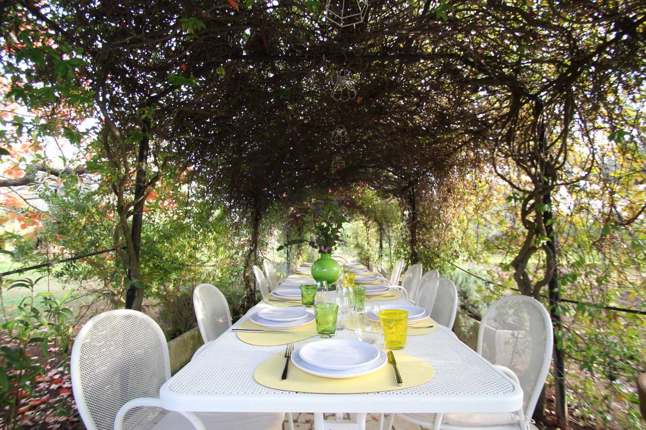 Luxury villa in midst of an ancient olive grove, ideal for families