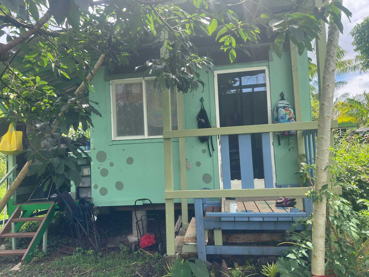 Eco Sanctuary  in Hawaiian Paradise Park, Big Island. Hawaii