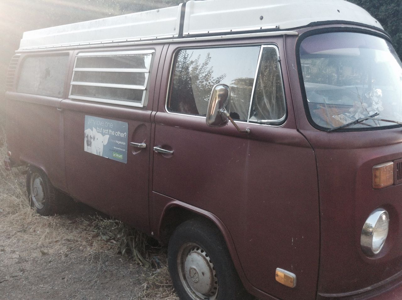Cozy Stay in a Vintage VW Van, Available Now for Vegan BnB Stays!