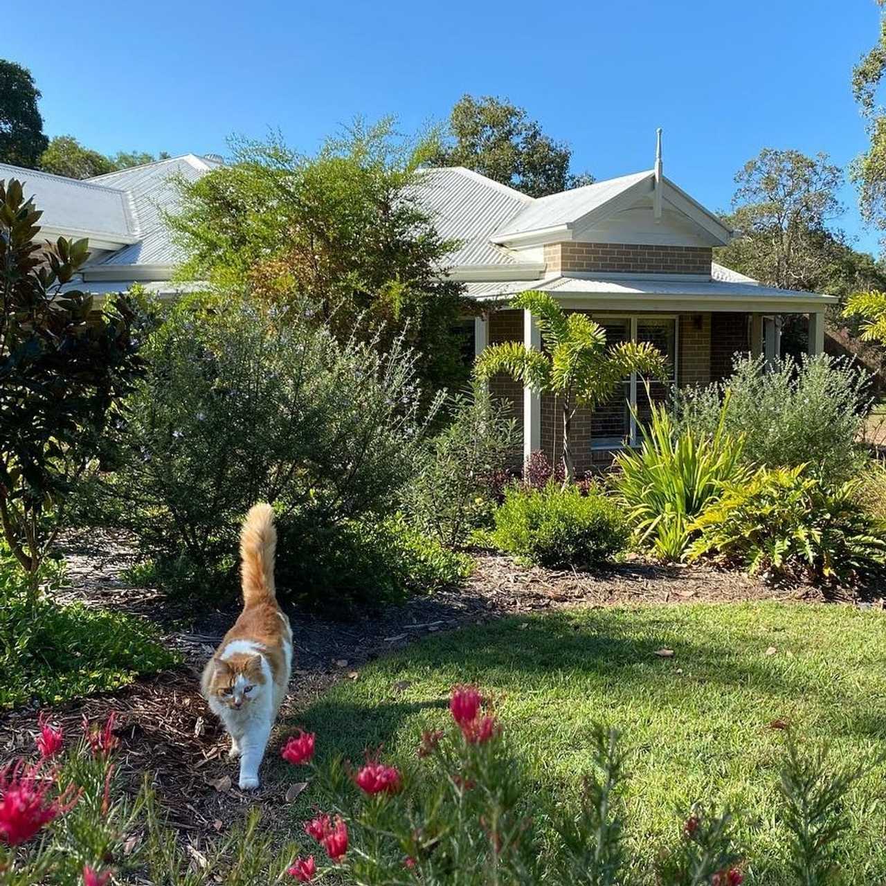 Tranquil Vegan B&B in Noosa region.  In house hospitality and charm 