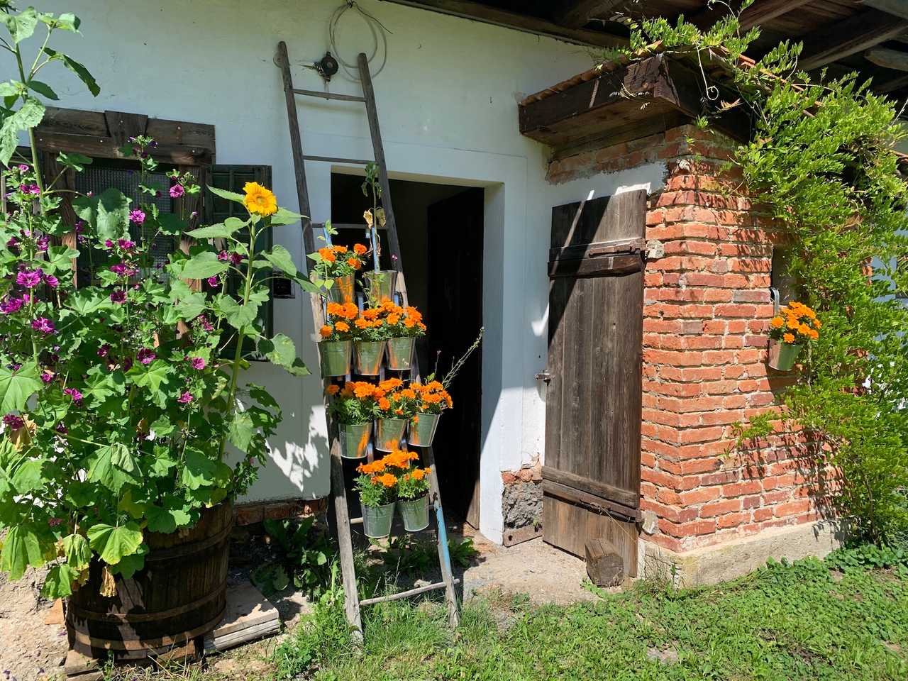 Varm - the vegan farm - a kind of sanctuary for animals and humans