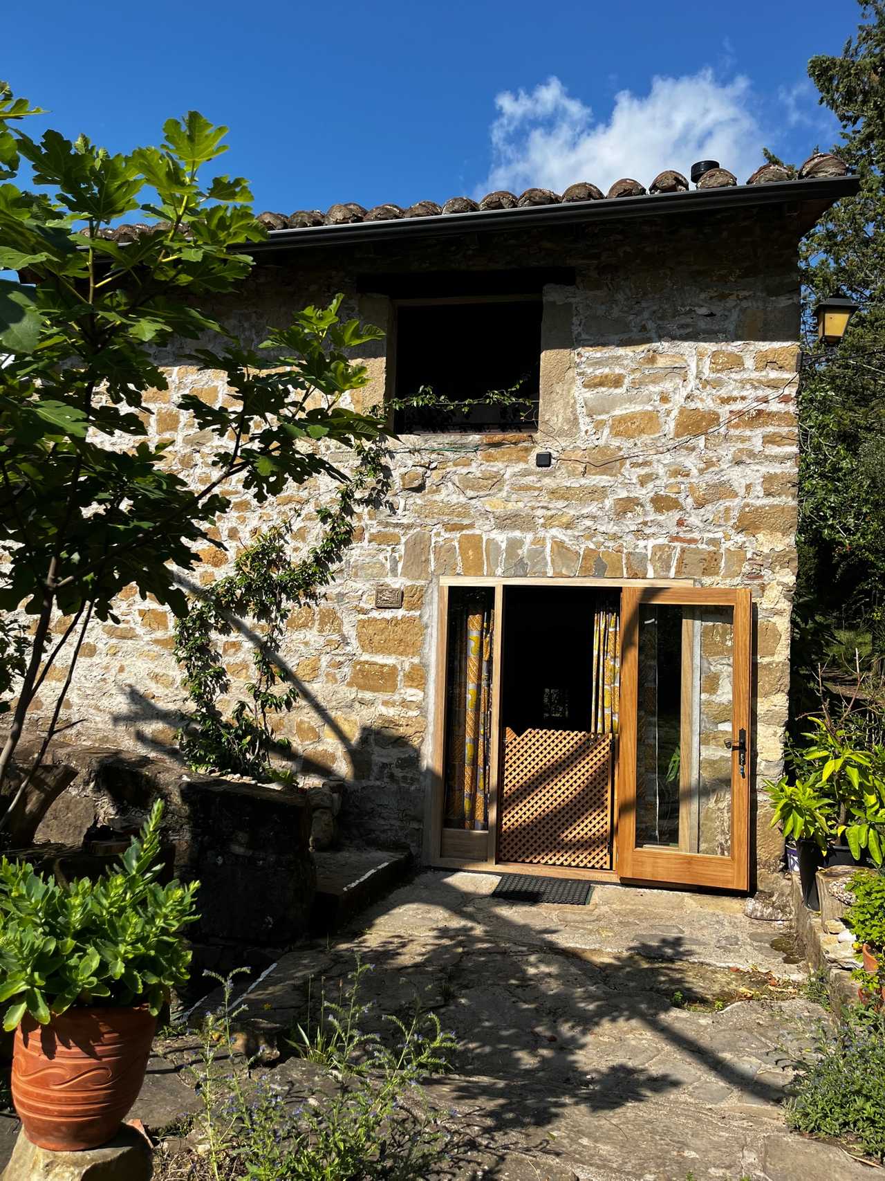 Cedre@mitjanas: immerse yourself in green at our cosy homestay