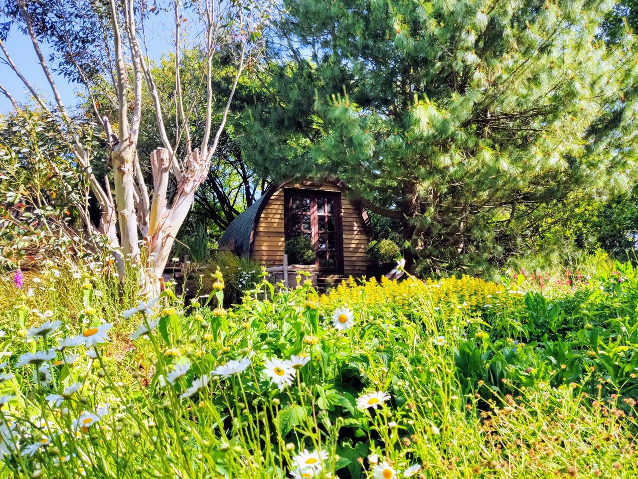 'Juniper' The Cosy Pod