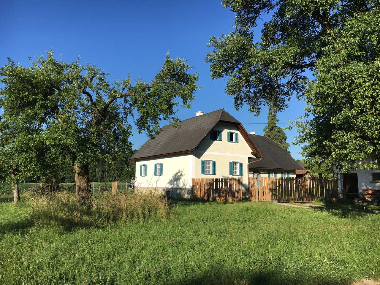 Varm - the vegan farm - a kind of sanctuary for animals and humans
