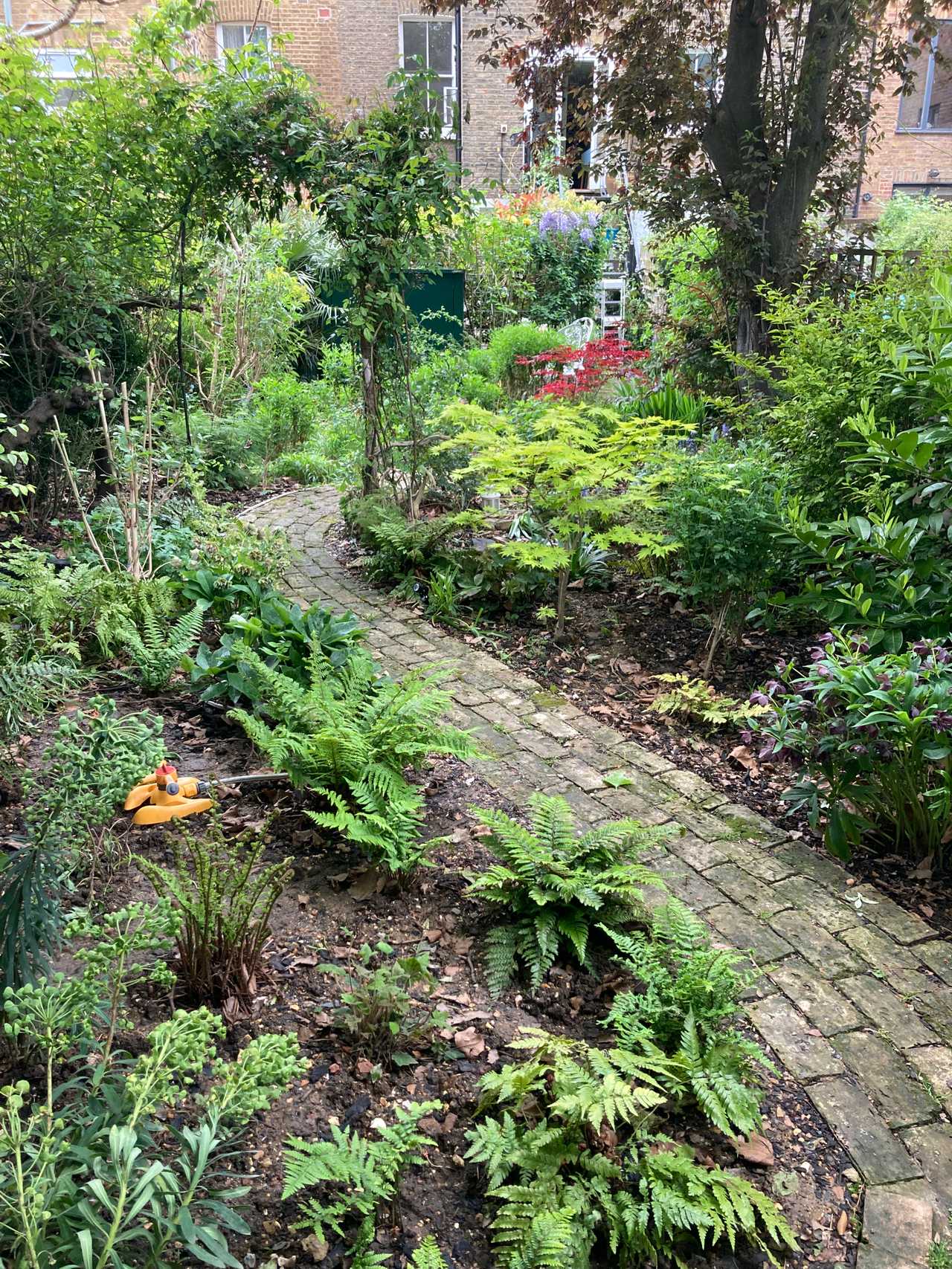 Gorgeous room for female guest in Victorian garden apartment in Dalston