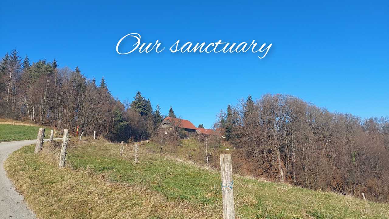 Visit an animal sanctuary and sleep in the hay.
