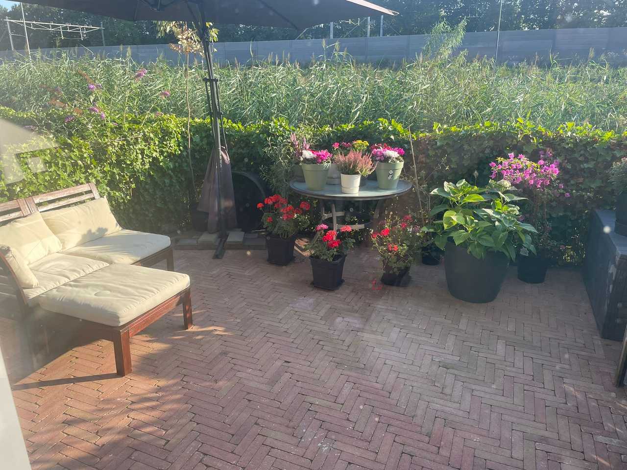 Comfy spacious whole house close to the train. Long term stayer, January-March!