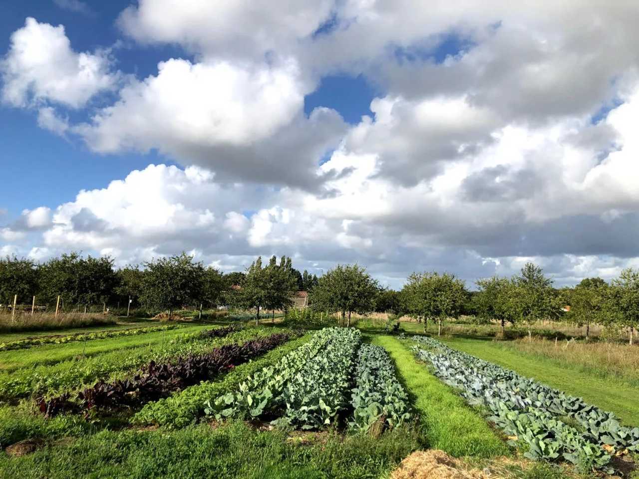 La Ferme de Brouage