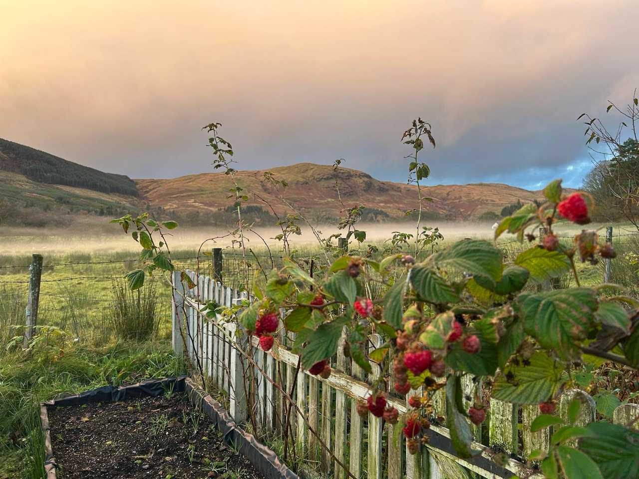Old Barn, Stunning Mountain Views & Wildlife Garden