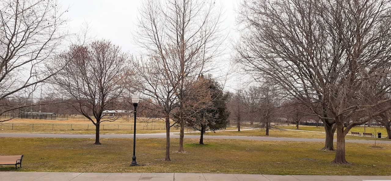 CarrollPark Cozy