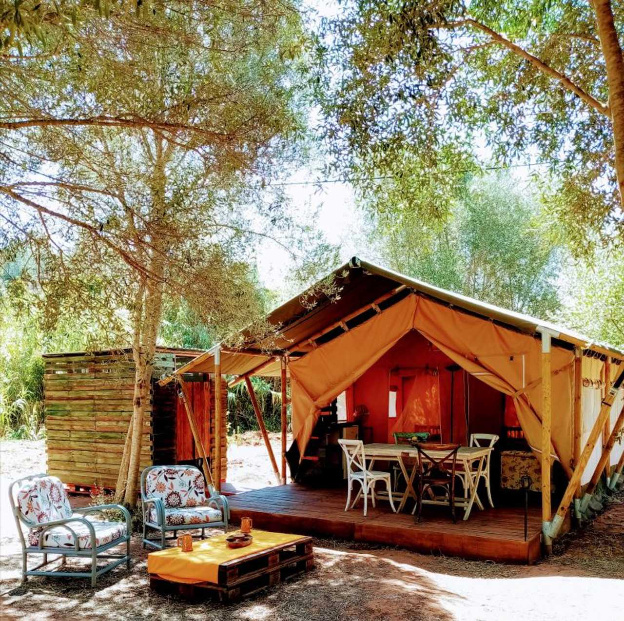 Olive Groove @ Naturally Cool Glamping