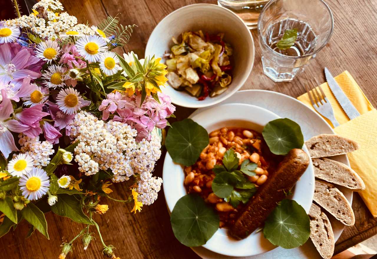 Varm - the vegan farm - a kind of sanctuary for animals and humans