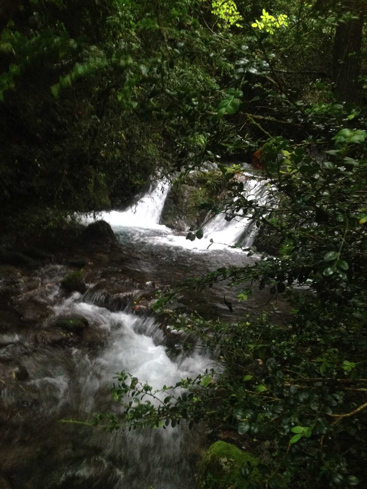 Back to Nature at the Mill!