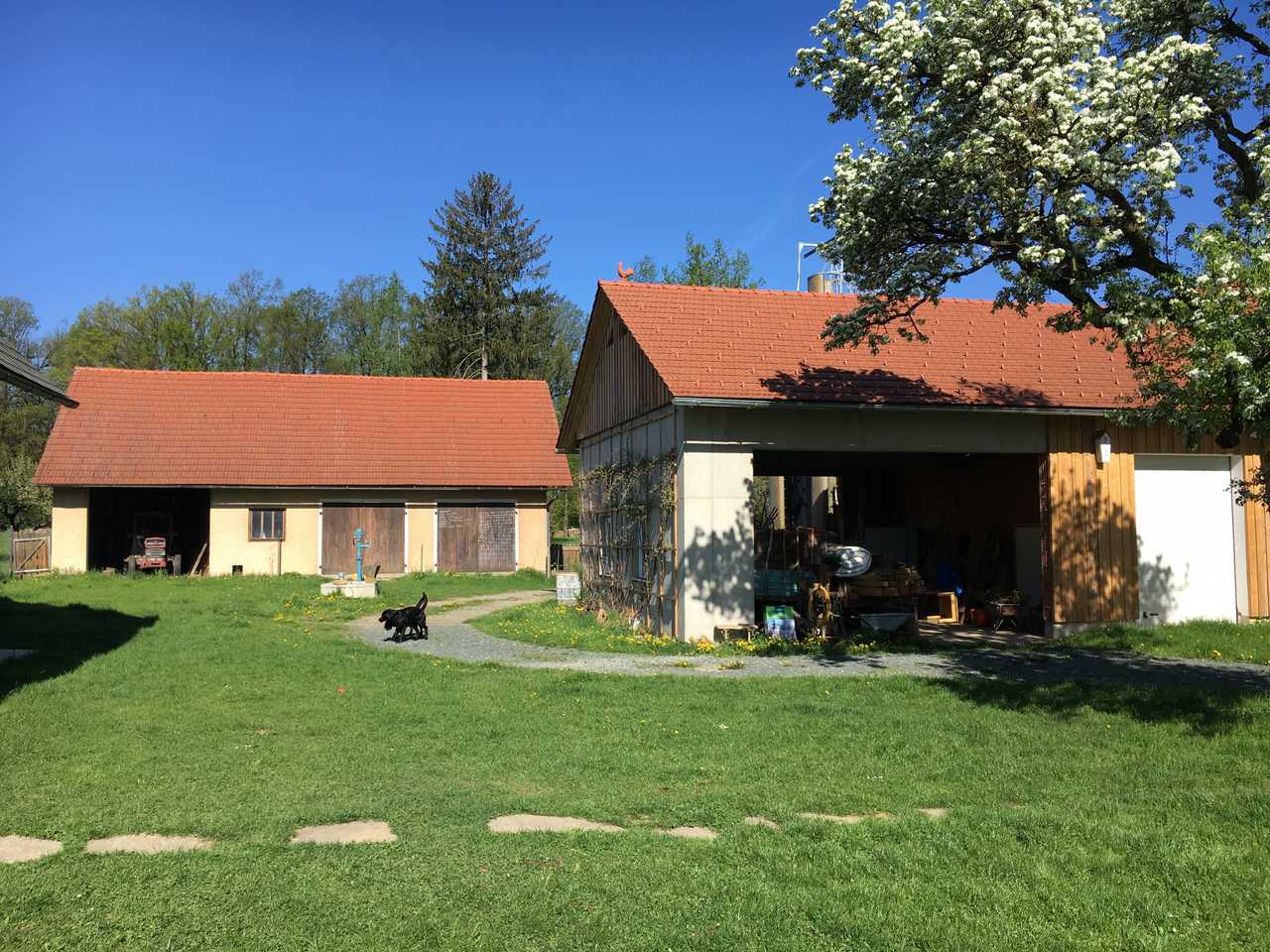 Varm - the vegan farm - a kind of sanctuary for animals and humans