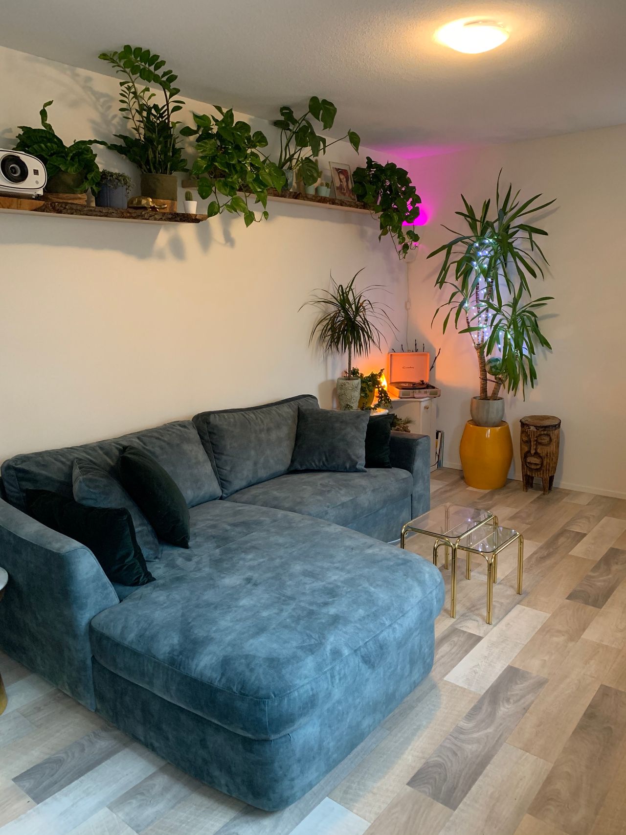 Amsterdam Jungle Apartment