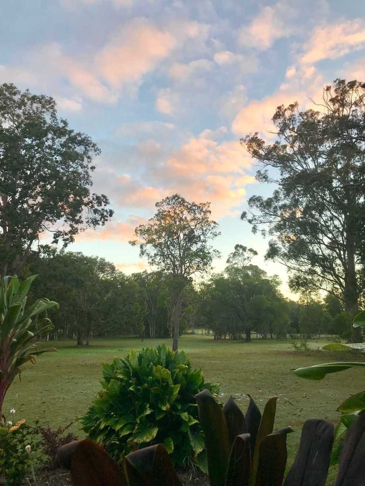 Tranquil Vegan B&B in Noosa region.  In house hospitality and charm 