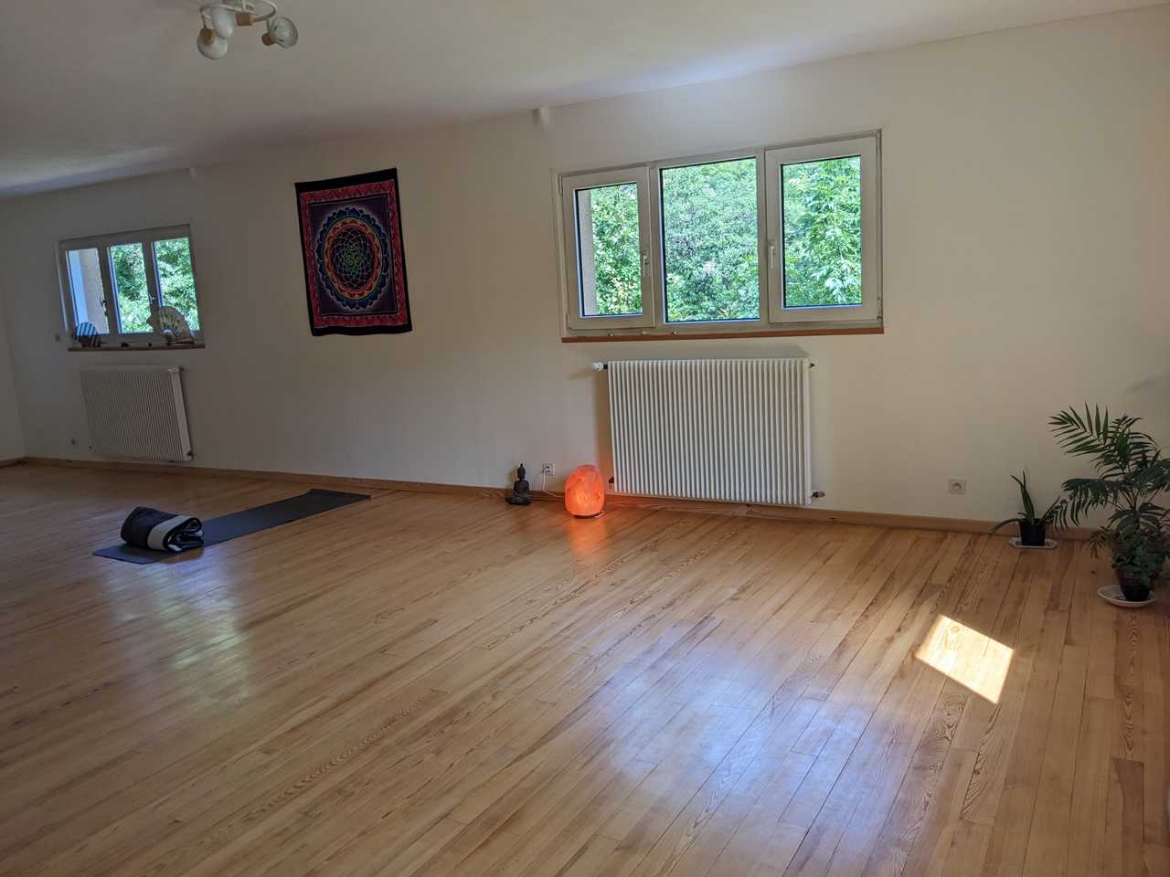Peaceful place in the nature, vegan meals, yoga, soundhealing and massages