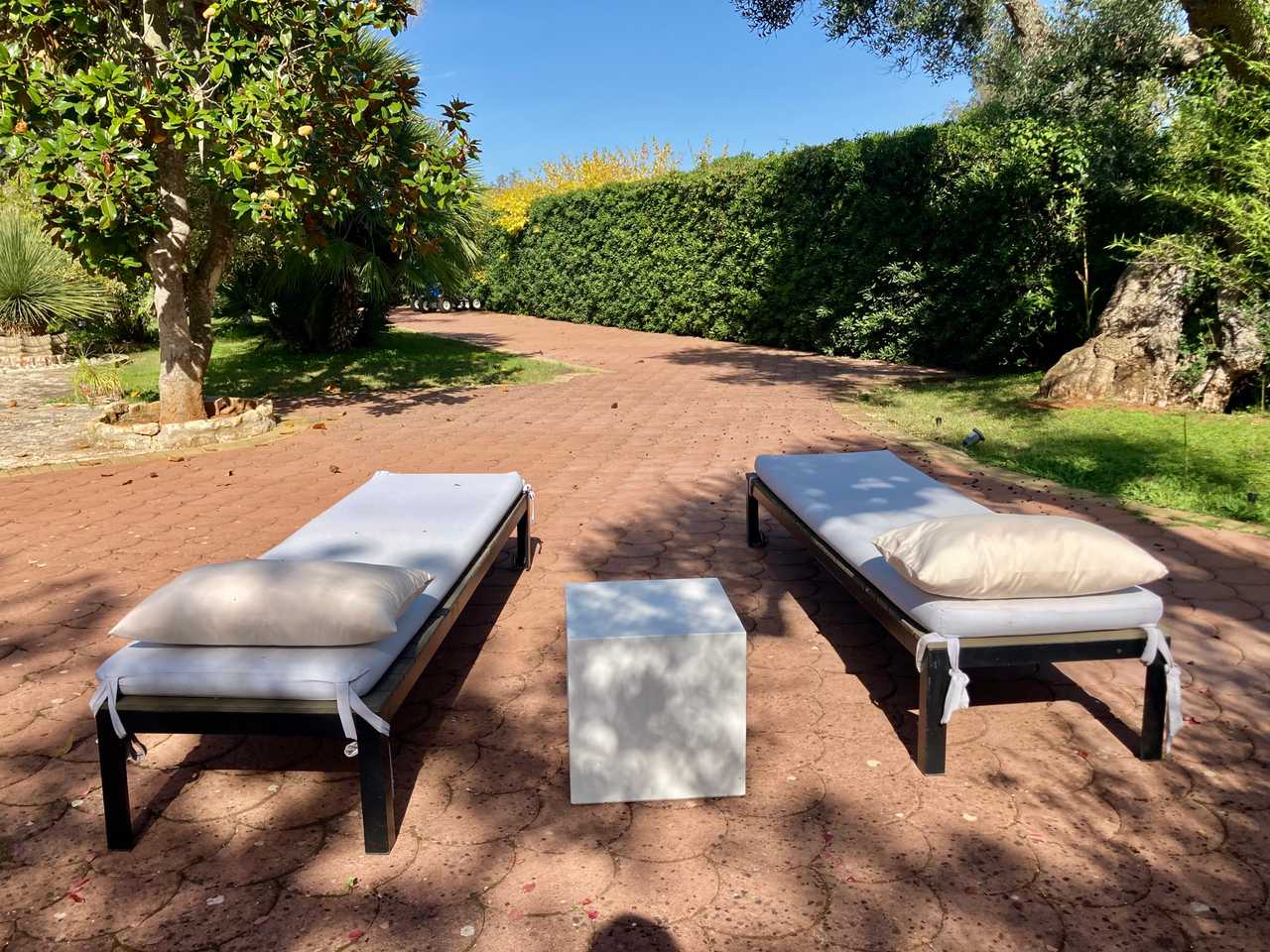 Luxury villa in midst of an ancient olive grove, ideal for families