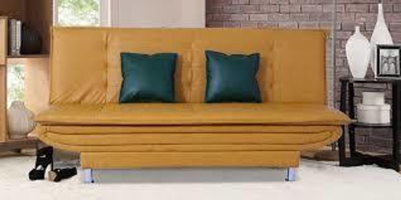 Living Room Sofa with Bed for Vegan Traveler