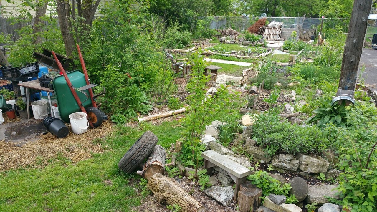 Urban ecological vegetarian homestead in Syracuse, NY close to downtown.