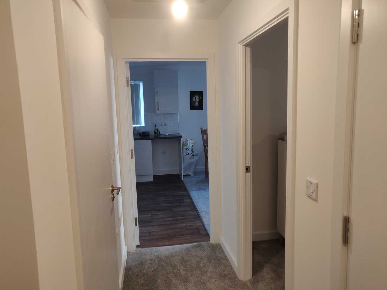 Chelmsford Vegan One Bedroom Apartment