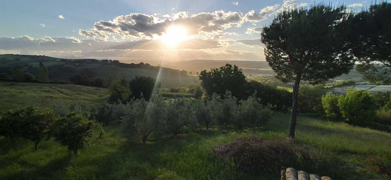 Bel campà - Cruelty-free hospitality | Earth Room