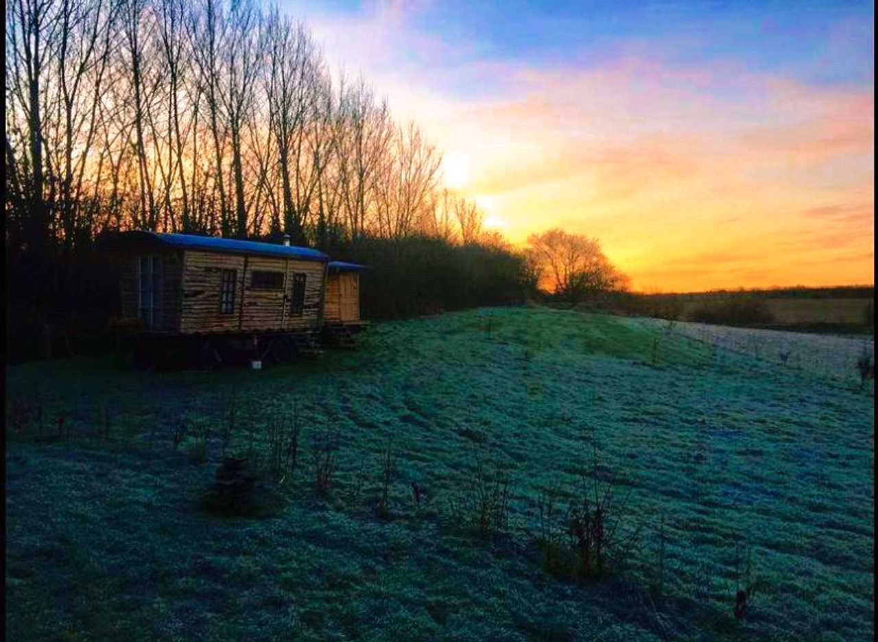 Hand-built wooden showperson's wagon on a veganic forest farm