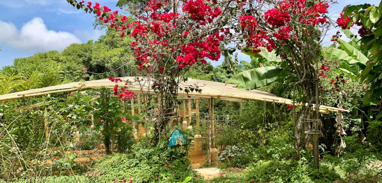 Affordable Vacation for the Healthy Lifestyle & Natural Healing Center