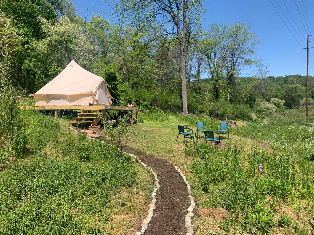 The Bell Tent at Fluffy Butt Rescue