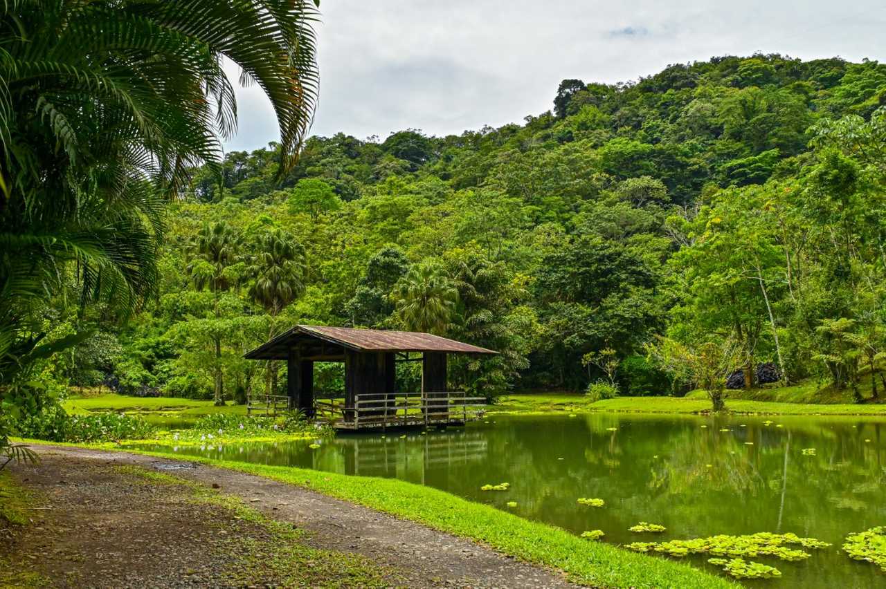 Lands in love hotel & forest resort 