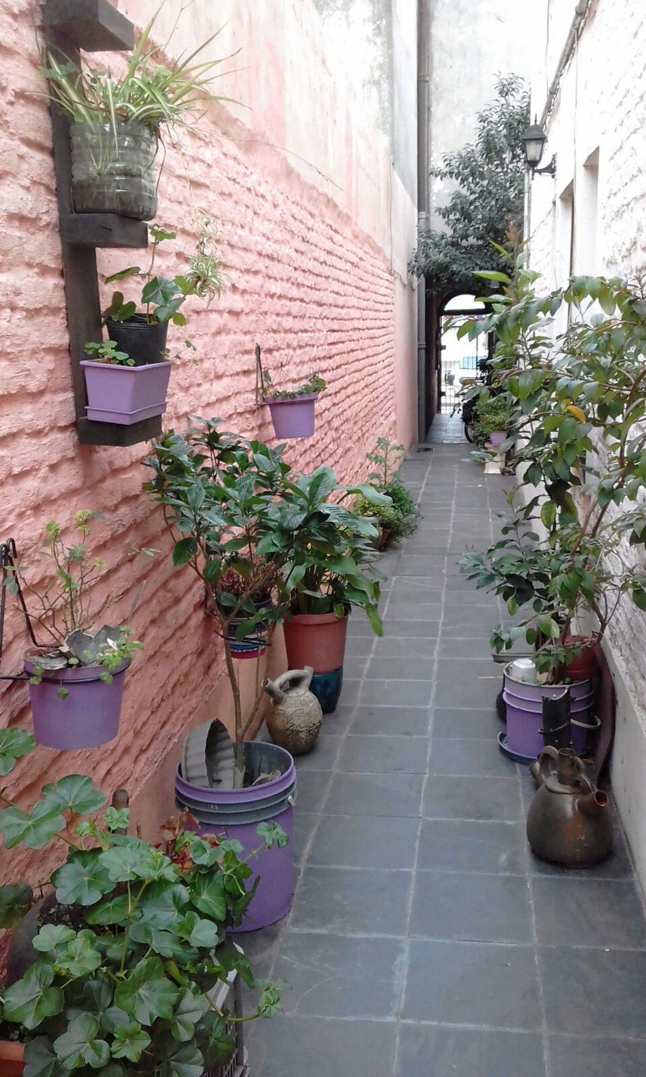 Private Room in a Students place