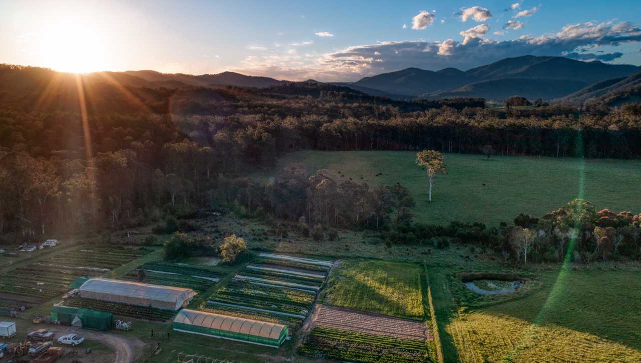 Organic Veggie Farm Camping