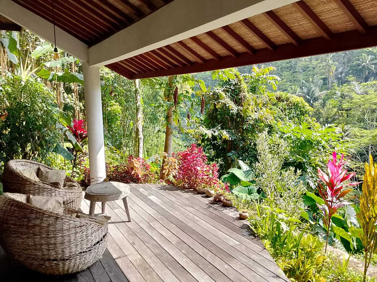 The Jungle Nook - Fully Vegan - Gorgeous Valley Views & Nourishing Food