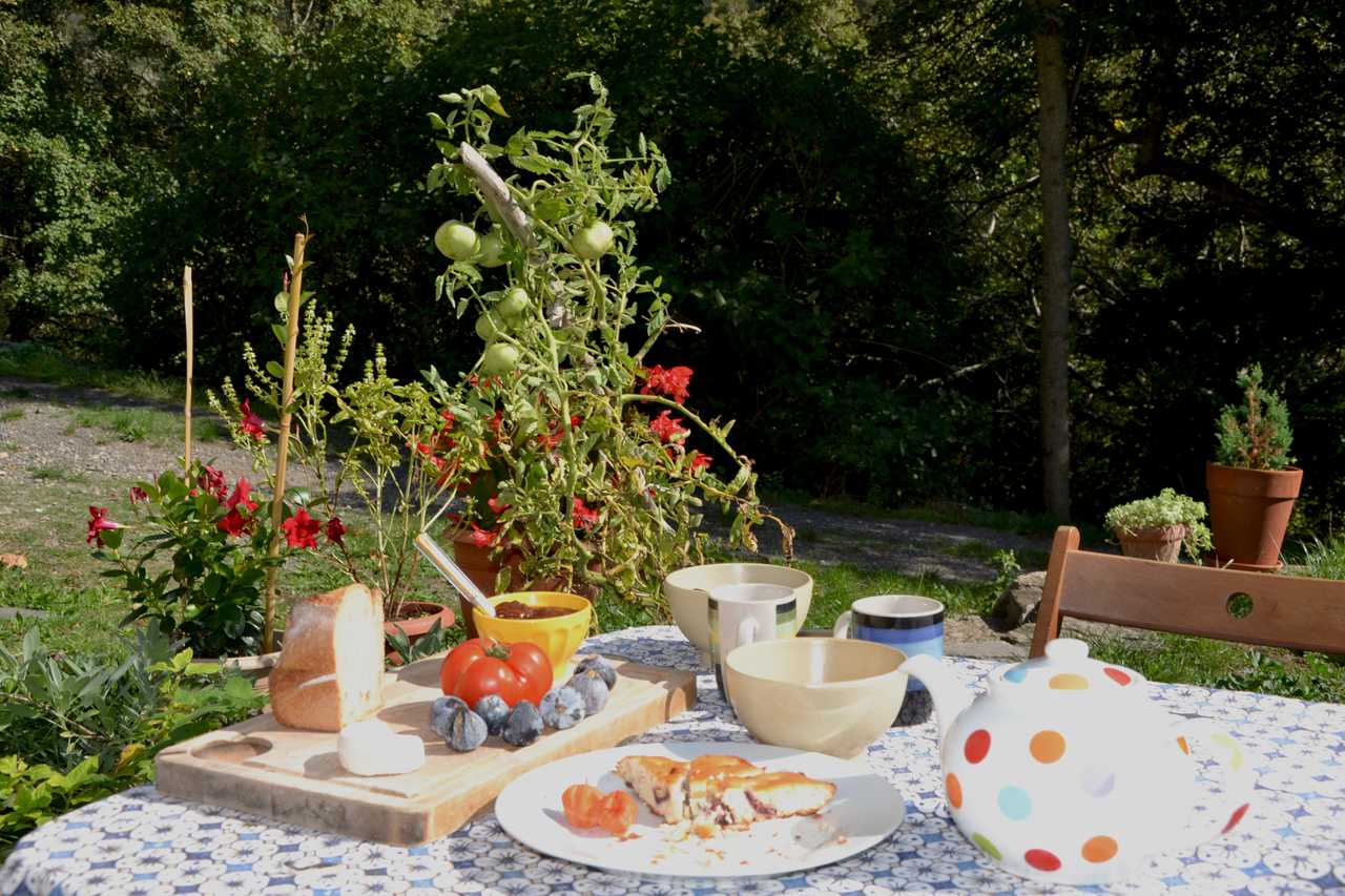 Back to Nature at the Mill!