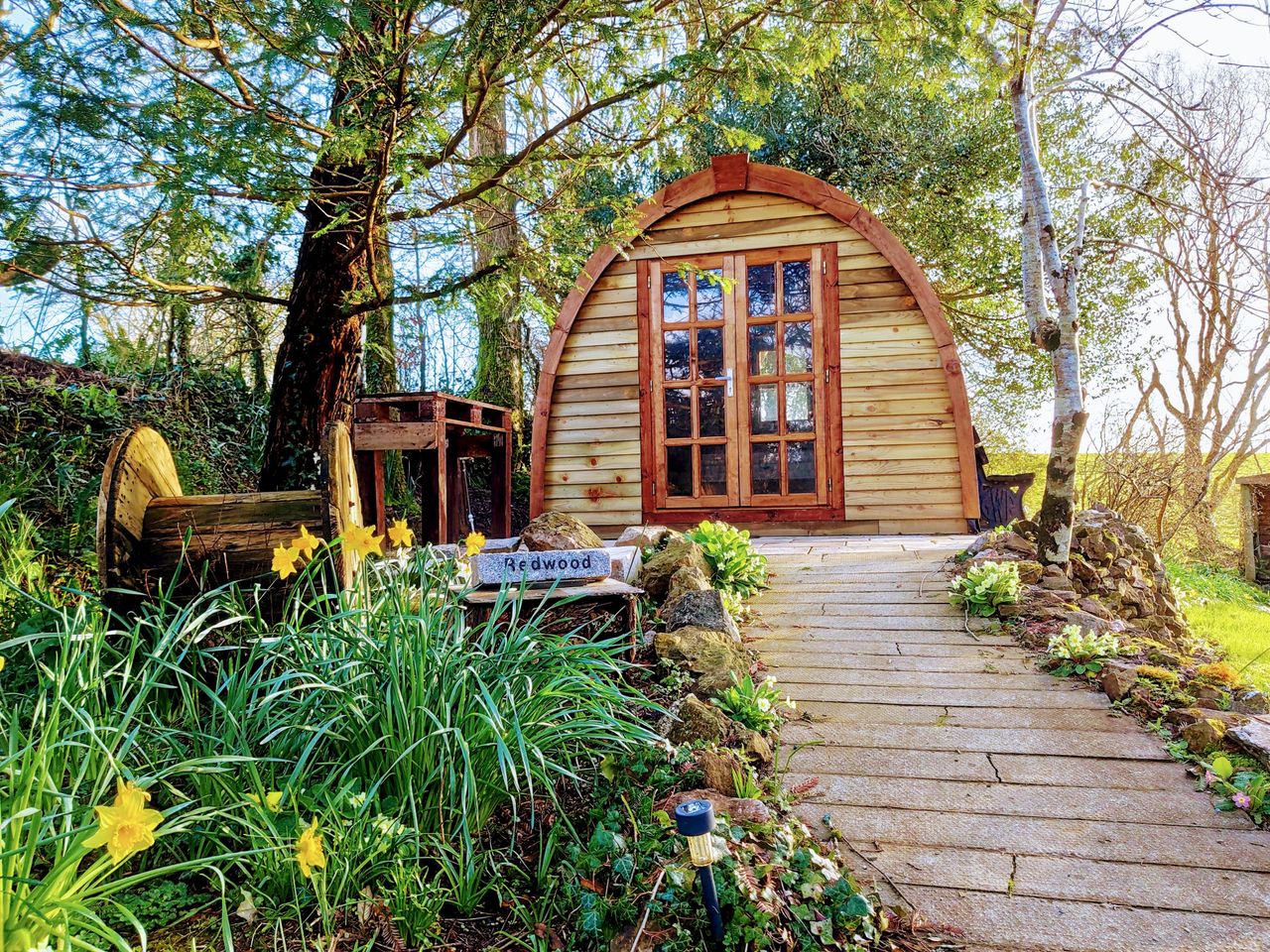 'Redwood' The Relaxing Pod