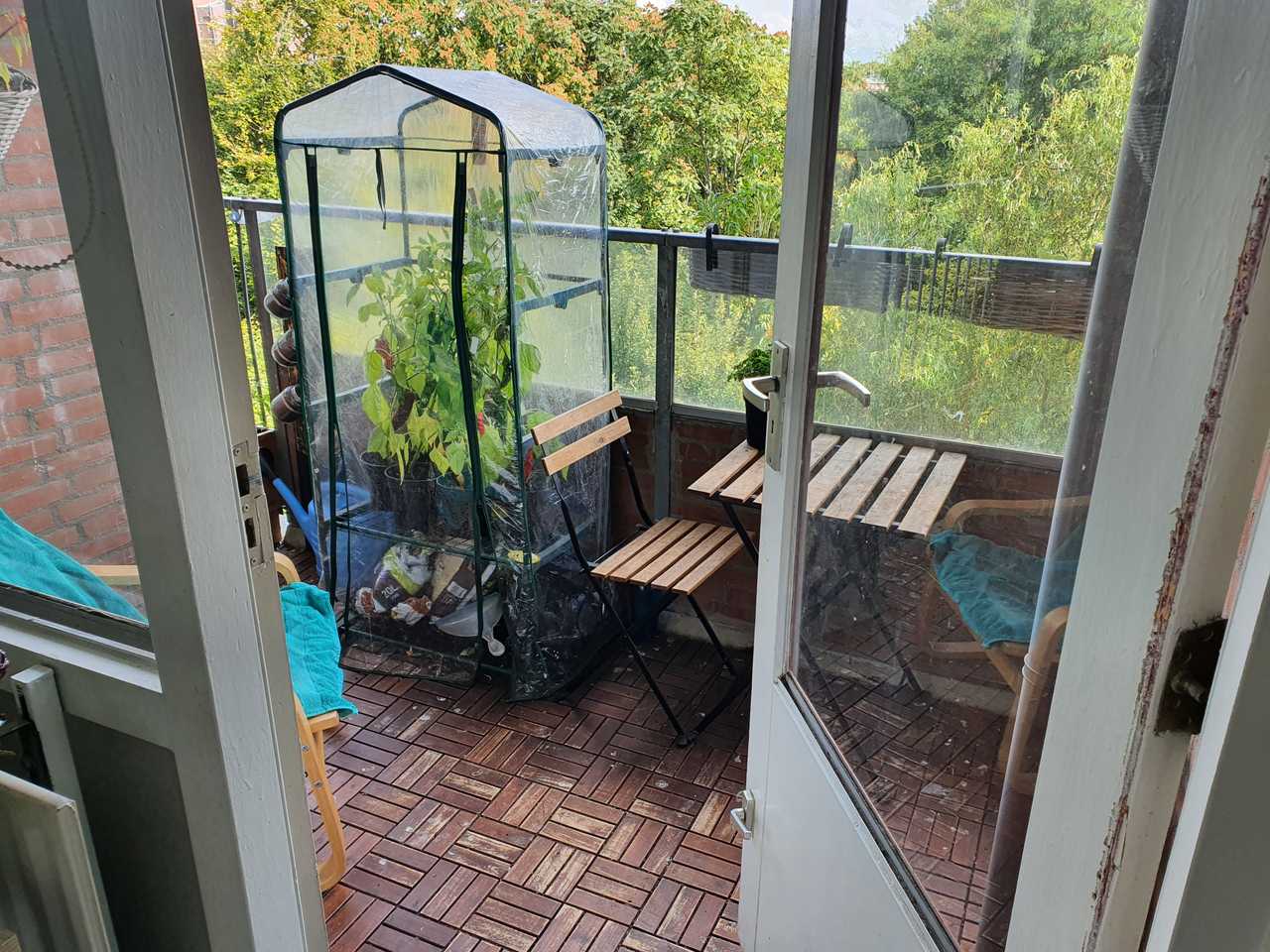 Beautiful vegan home in amsterdam