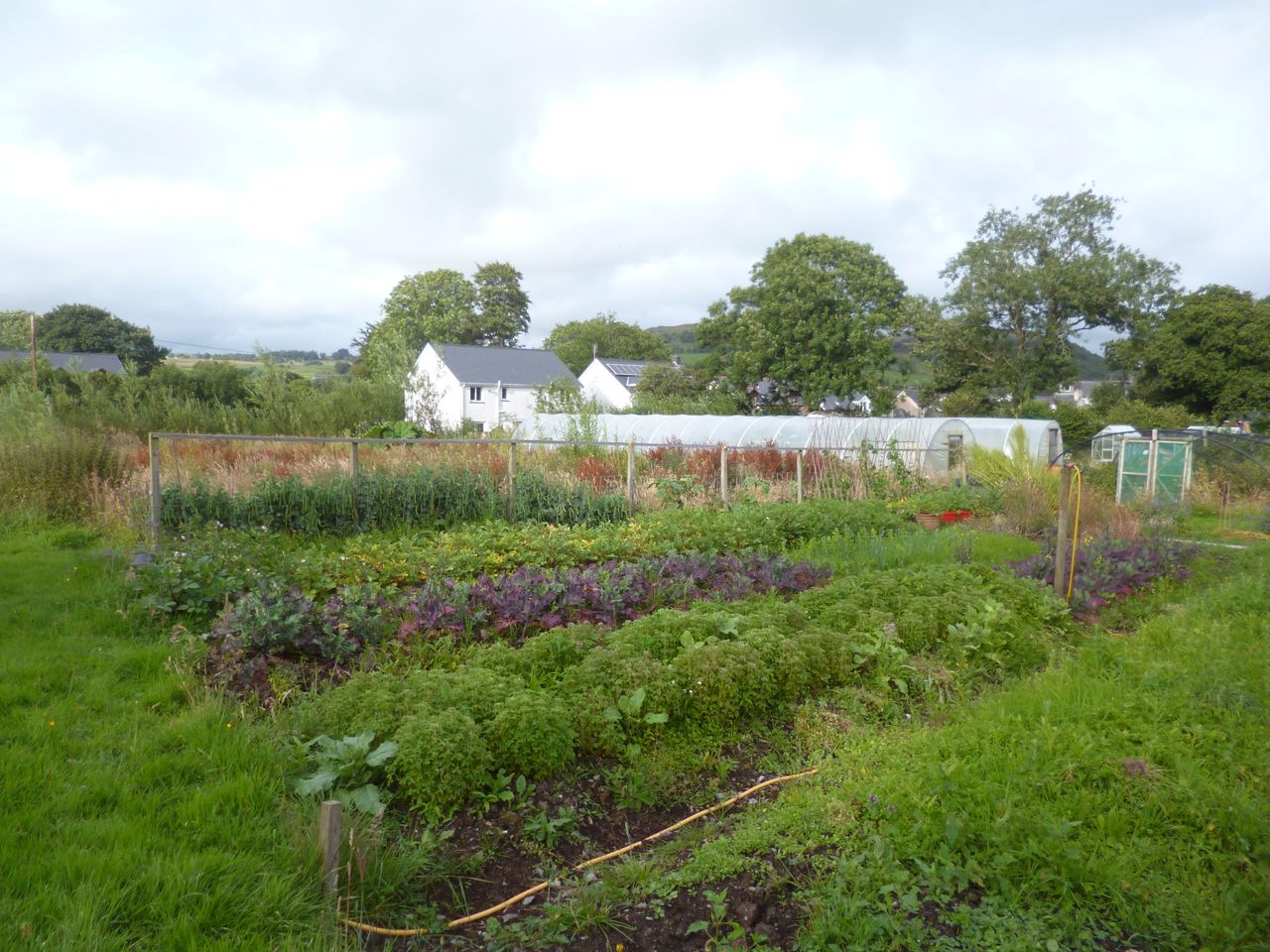 Alan & Cathy's Vegan Health Retreat