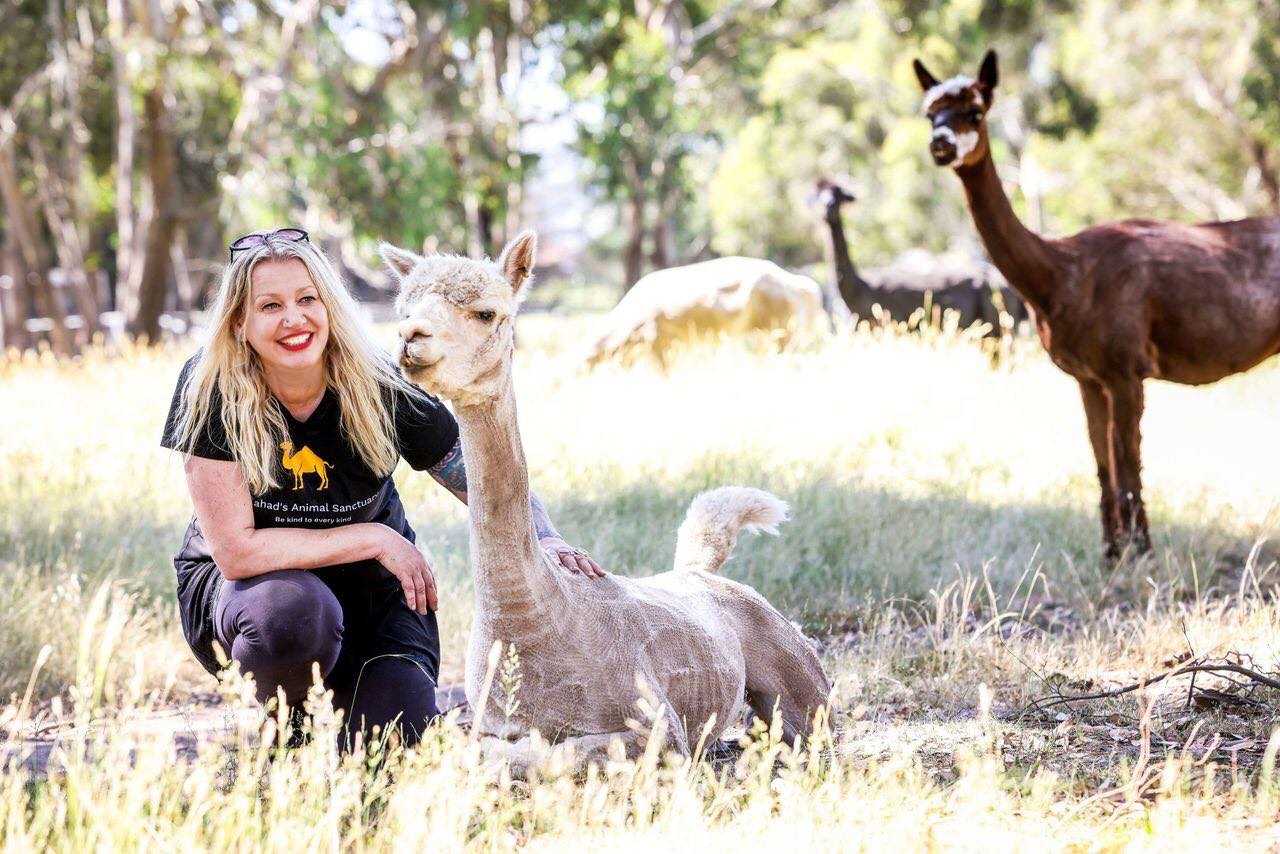 Galahad's Animal Sanctuary B&B